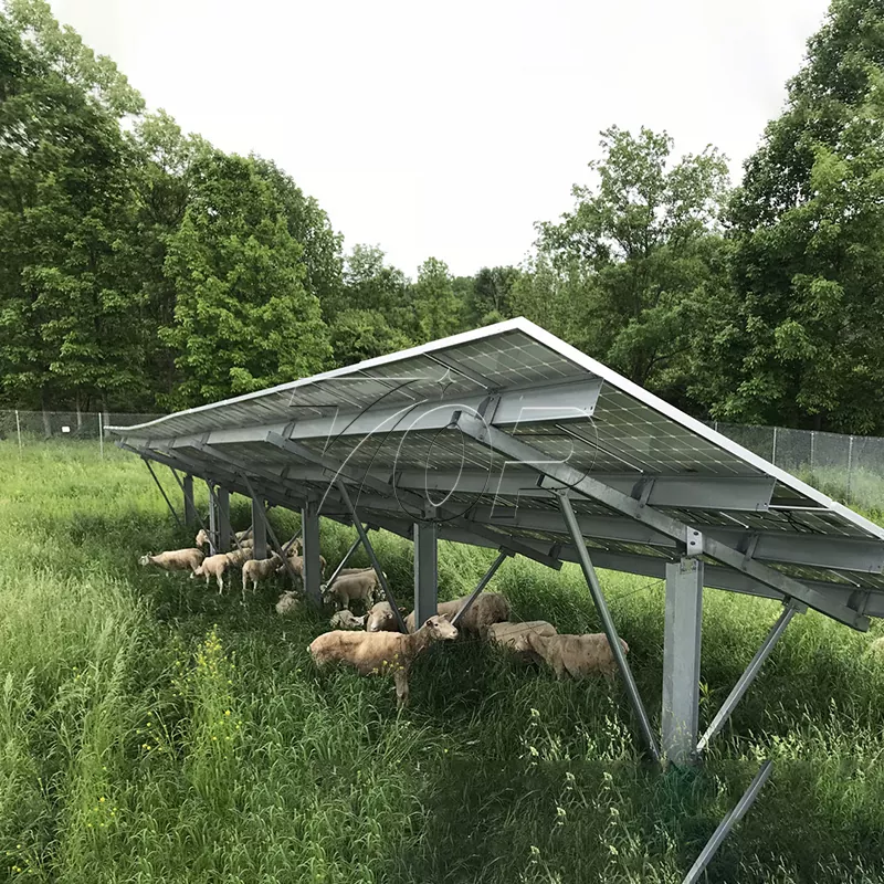 Saulės energijos ūkis